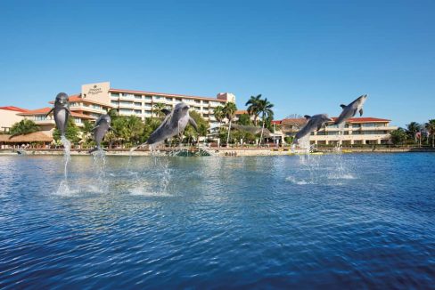Puerto Aventuras Dreams dolphins