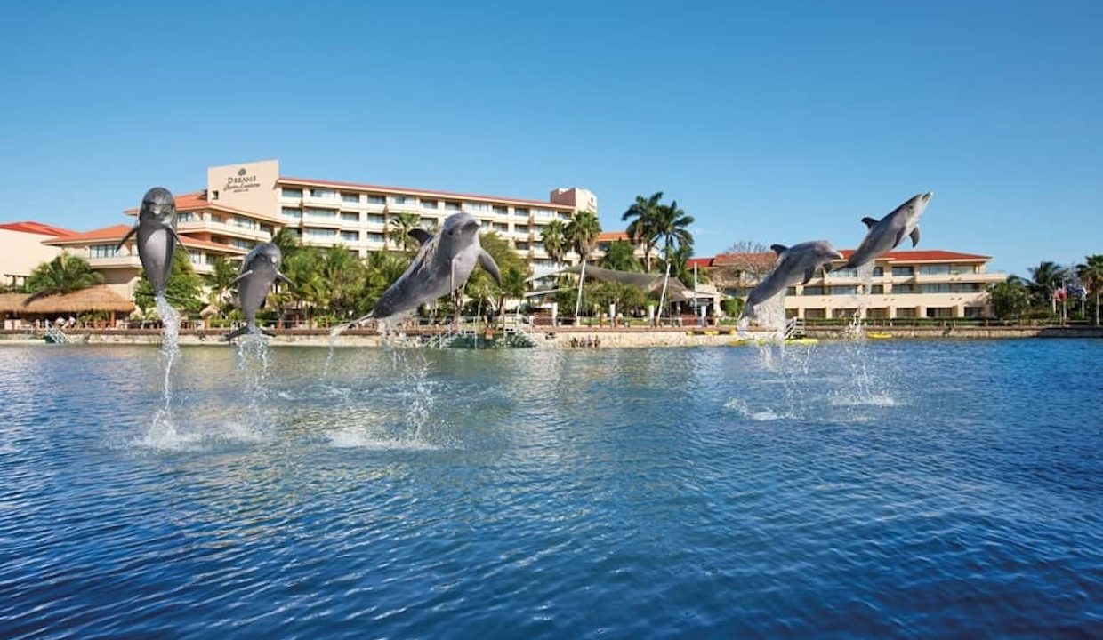 Puerto Aventuras Dreams dolphins