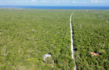 Xpu-Ha Jungle Retreat in Rancho San Lorenzo with Private Cenote Cave