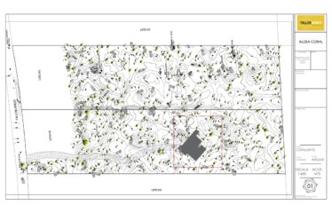 5 Acres of Titled Jungle Land Near Tulum – Includes Plans to Build Your Dream Retreat