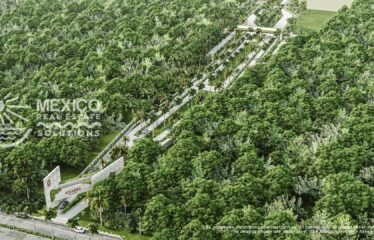 🌴 $90K Limited-Time Lot Deal in the Fastest-Growing Zone Near Xpu-Ha