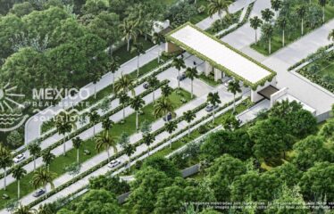 🌴 $90K Limited-Time Lot Deal in the Fastest-Growing Zone Near Xpu-Ha