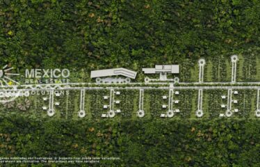 🌴 $90K Limited-Time Lot Deal in the Fastest-Growing Zone Near Xpu-Ha