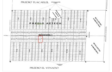 1-Hectare Jungle Lot in Gated Community Near Akumal – $100,000 USD