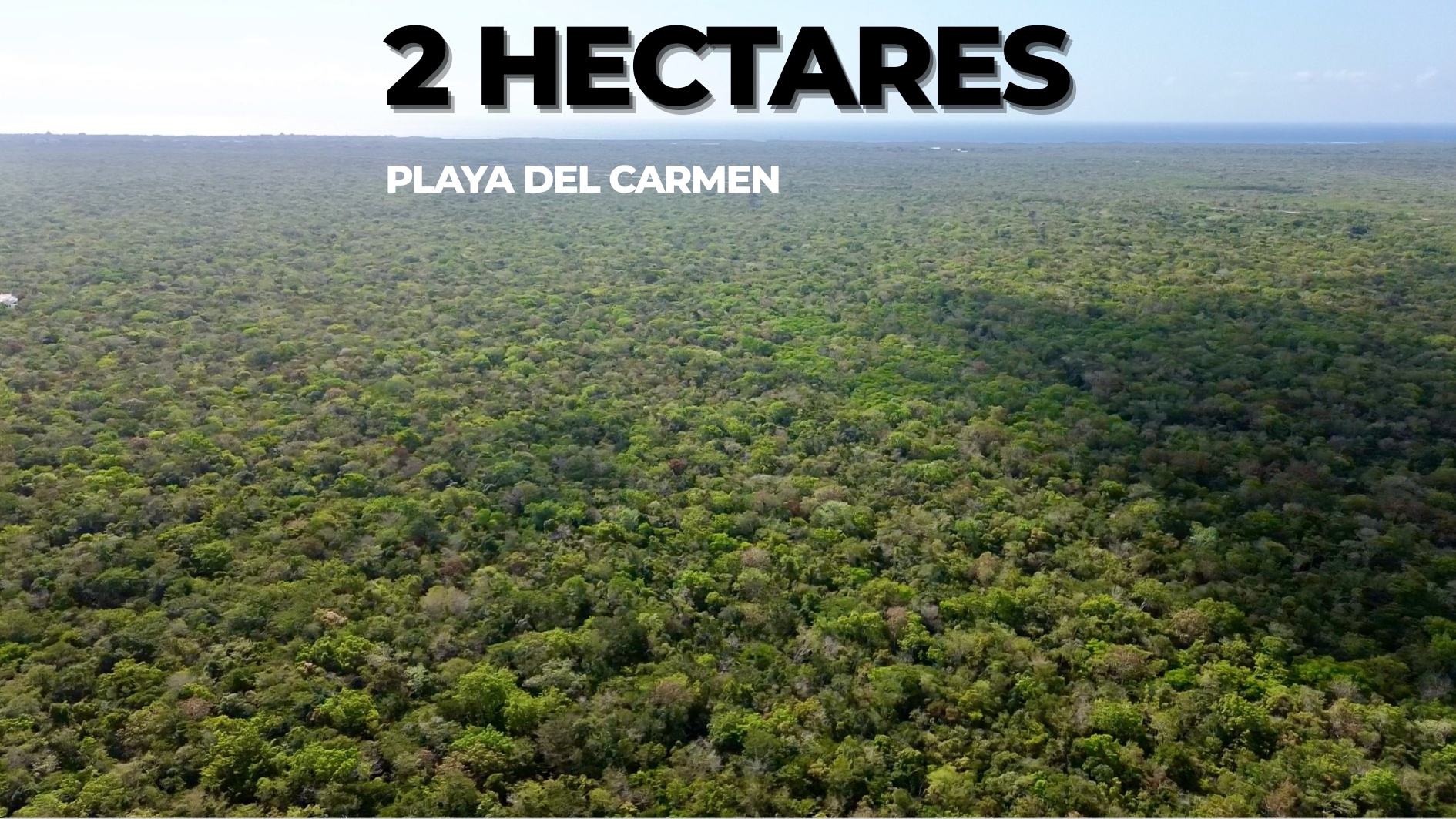 5-Acre Jungle Property for Sale in Aldea Coral, Near Akumal & Tulum