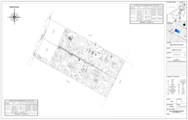 1-Hectare Jungle Lot in Gated Community Near Akumal – $100,000 USD