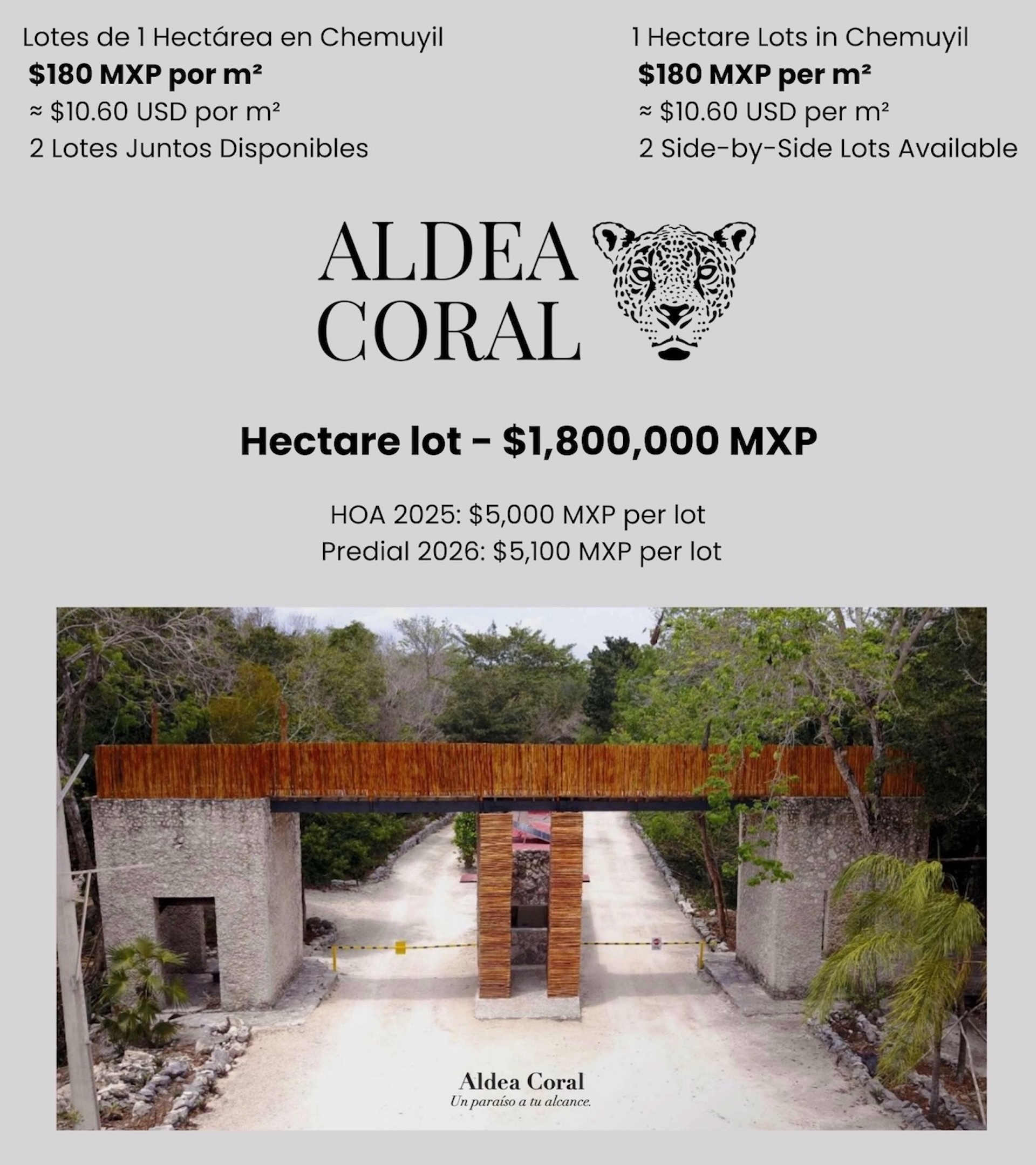 1-Hectare Jungle Lot in Gated Community Near Akumal – $100,000 USD