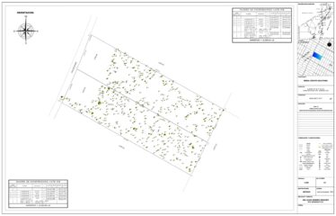 1-Hectare Jungle Lot in Gated Community Near Akumal – $100,000 USD