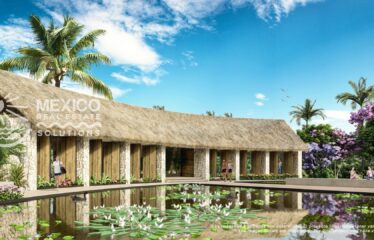 🌴 $90K Limited-Time Lot Deal in the Fastest-Growing Zone Near Xpu-Ha