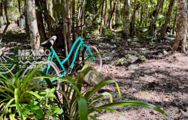 Turnkey 1BR Home in a Gated Micro-Community near Akumal