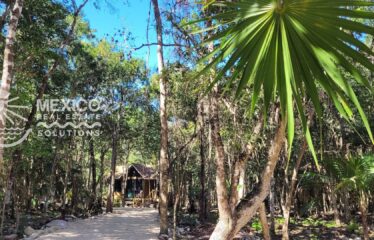 Turnkey 1BR Home in a Gated Micro-Community near Akumal