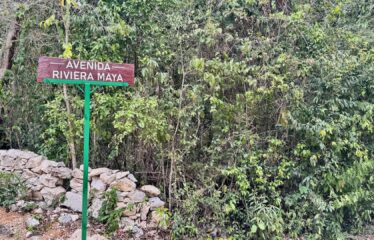 1-Hectare Jungle Lot in Gated Community Near Akumal – $100,000 USD