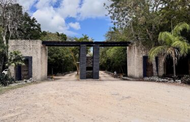 1-Hectare Jungle Lot in Gated Community Near Akumal – $100,000 USD