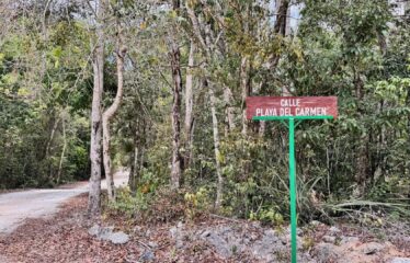1-Hectare Jungle Lot in Gated Community Near Akumal – $100,000 USD