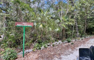 1-Hectare Jungle Lot in Gated Community Near Akumal – $100,000 USD