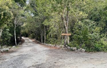1-Hectare Jungle Lot in Gated Community Near Akumal – $100,000 USD