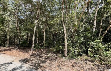 1-Hectare Jungle Lot in Gated Community Near Akumal – $100,000 USD