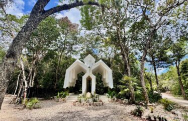 1-Hectare Jungle Lot in Gated Community Near Akumal – $100,000 USD