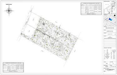 1-Hectare Jungle Lot in Gated Community Near Akumal – $100,000 USD