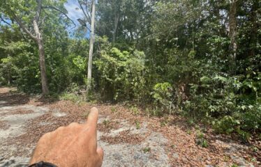 1-Hectare Jungle Lot in Gated Community Near Akumal – $100,000 USD
