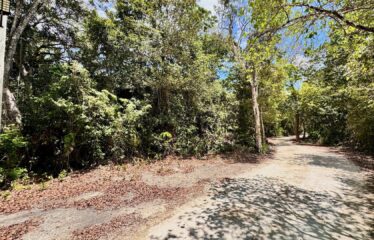 1-Hectare Jungle Lot in Gated Community Near Akumal – $100,000 USD