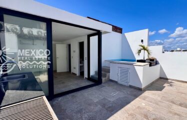 Lock-Off 2BR at MoMA 42 with Private Rooftop Plunge Pool