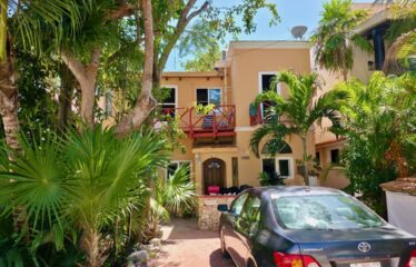 Unique Golf Course Investment Property with Two Homes in Puerto Aventuras