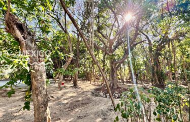 🌴 Boutique Airbnb Investment Property Near Playa del Carmen’s Famous 38th Street