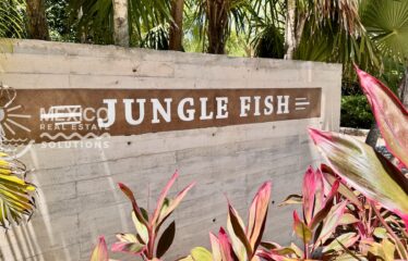 3 Bedroom Home for Sale in Akumal Walk to Beach TAO Ocean Near Jungle Fish