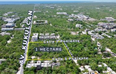 Prime Development Opportunity on Avenida Kukulkan in Tulum