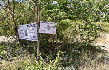 Prime Development Opportunity on Avenida Kukulkan in Tulum