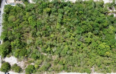 Prime Development Opportunity on Avenida Kukulkan in Tulum