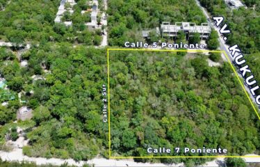 Prime Development Opportunity on Avenida Kukulkan in Tulum
