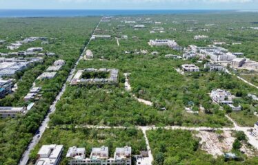 Prime Development Opportunity on Avenida Kukulkan in Tulum