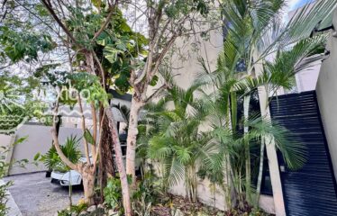 🏡 Turnkey 3BR + Office Home with Private Pool in Playa del Carmen