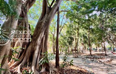 🌴 Boutique Airbnb Investment Property Near Playa del Carmen’s Famous 38th Street