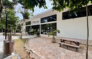 Akumal Penthouse with Private Rooftop Jacuzzi and Potential Closing Cost Savings