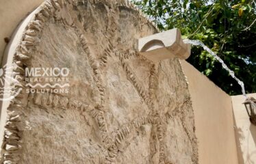 Casa Isa, A Private Organic Luxury Retreat in Puerto Aventuras