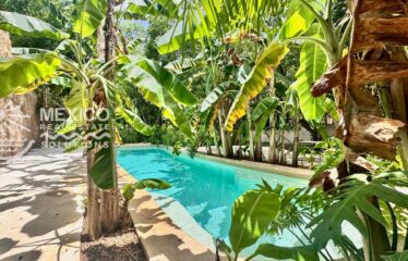 Casa Isa, A Private Organic Luxury Retreat in Puerto Aventuras