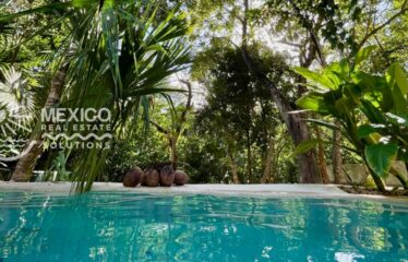 Casa Isa, A Private Organic Luxury Retreat in Puerto Aventuras