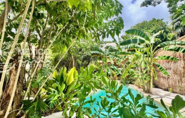 Casa Isa, A Private Organic Luxury Retreat in Puerto Aventuras