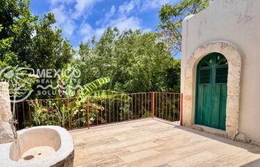 Casa Isa, A Private Organic Luxury Retreat in Puerto Aventuras