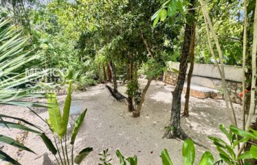 Casa Isa, A Private Organic Luxury Retreat in Puerto Aventuras