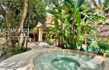 Casa Isa, A Private Organic Luxury Retreat in Puerto Aventuras
