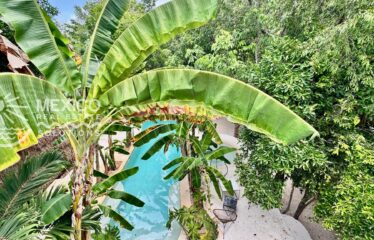 Casa Isa, A Private Organic Luxury Retreat in Puerto Aventuras