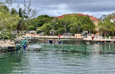 Dolphin View Studios in Puerto Aventuras, 2 Turnkey Airbnb Studios