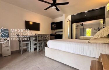 Dolphin View Studios in Puerto Aventuras, 2 Turnkey Airbnb Studios