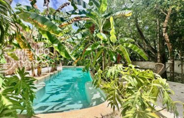 Casa Isa, A Private Organic Luxury Retreat in Puerto Aventuras