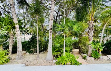 Puerto Aventuras Marina-Front Casita with 49 Ft Dock in Phase 4