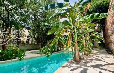 Casa Isa, A Private Organic Luxury Retreat in Puerto Aventuras